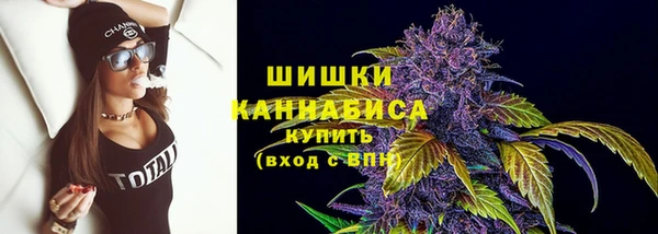 хмурый Магас