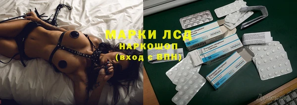 ГАЛЛЮЦИНОГЕННЫЕ ГРИБЫ Абаза