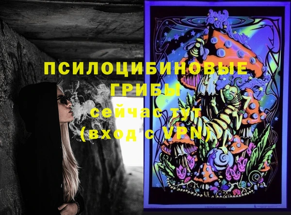 ГАЛЛЮЦИНОГЕННЫЕ ГРИБЫ Абаза
