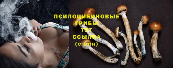 ГАЛЛЮЦИНОГЕННЫЕ ГРИБЫ Абаза