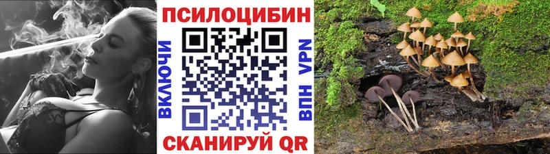 закладки  Оренбург  Псилоцибиновые грибы GOLDEN TEACHER 